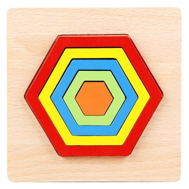 3D Montessori Wooden Puzzle